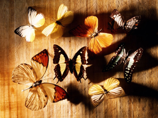 392996 (a): :1024x768